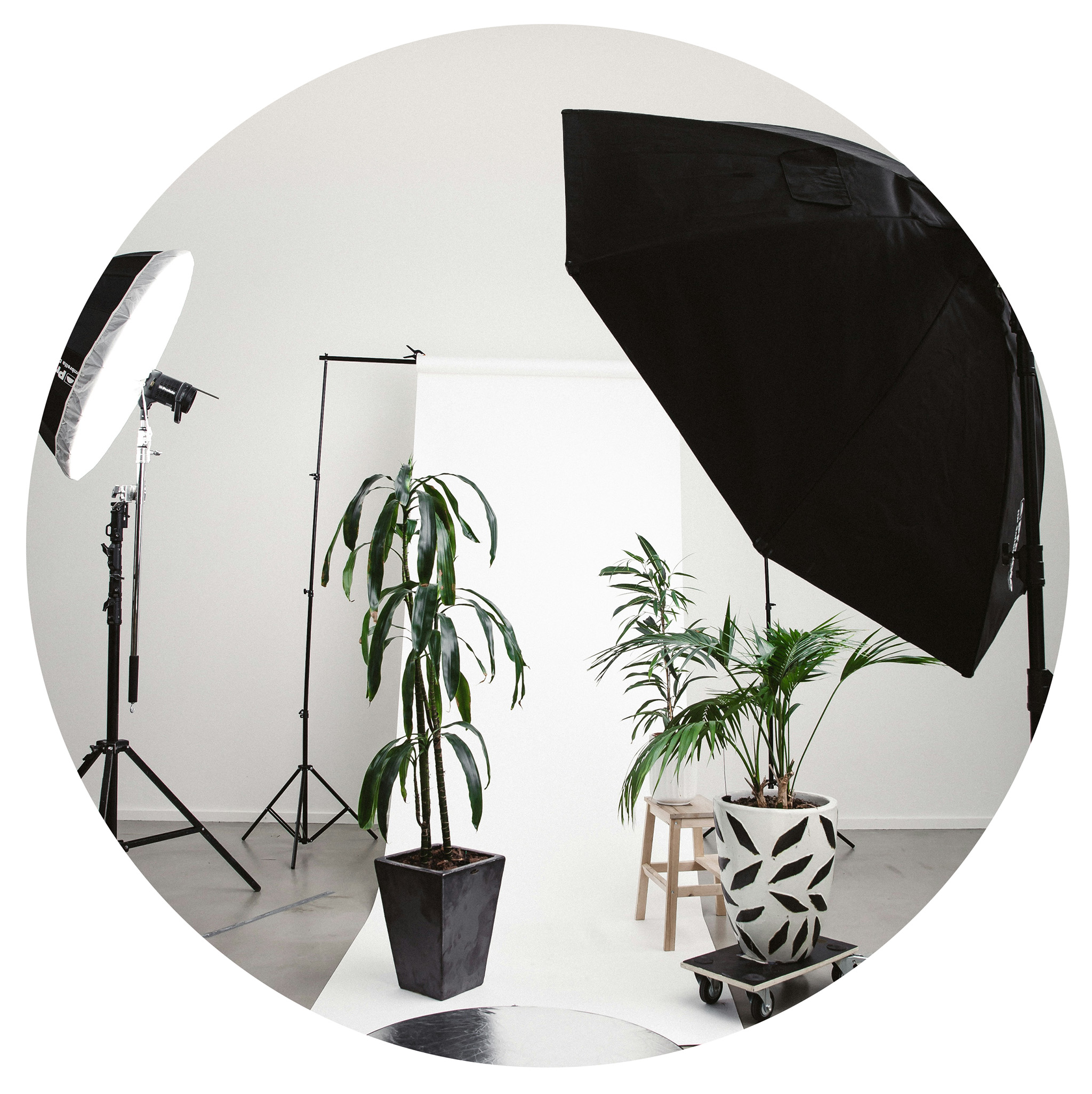 photography studio with lights and plants